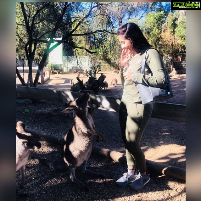 Navya Nair Instagram - Australia #tb .. എന്നെ കണ്ട അവനും അവനെകണ്ട ഞാനും :''എവിടെ ആയിരുന്നു ഇത്രെയും കാലം ''🤣