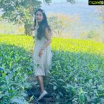 Navya Nair Instagram - You are a leaf scattered by an invisible wind .. Dont u know something is moving you ???@dcprm @spicecountryresortsmunnar Dream Catcher Resort