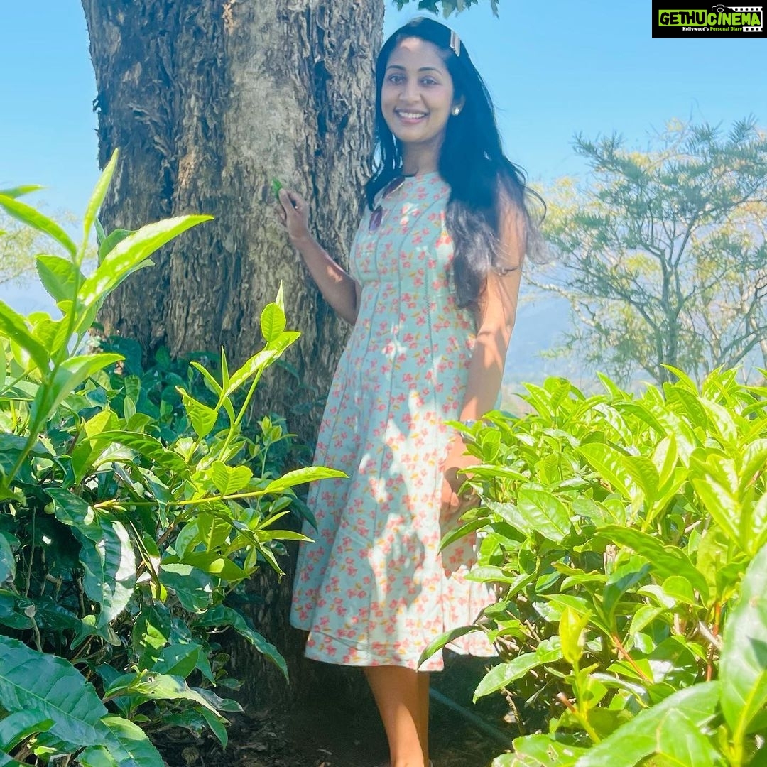 Navya Nair Instagram - You are a leaf scattered by an invisible wind .. Dont u know something is moving you ???@dcprm @spicecountryresortsmunnar Dream Catcher Resort