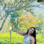 Navya Nair Instagram - You are a leaf scattered by an invisible wind .. Dont u know something is moving you ???@dcprm @spicecountryresortsmunnar Dream Catcher Resort