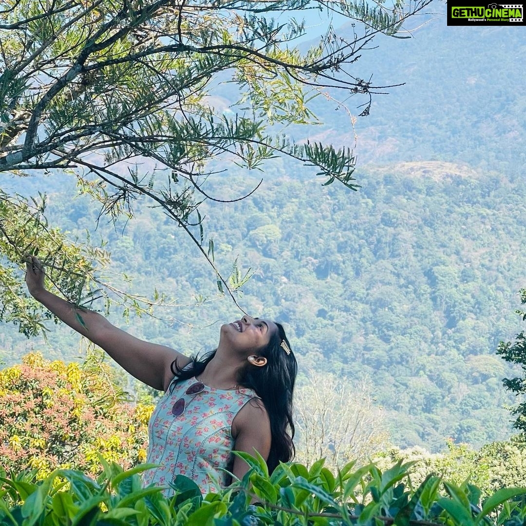 Navya Nair Instagram - You are a leaf scattered by an invisible wind .. Dont u know something is moving you ???@dcprm @spicecountryresortsmunnar Dream Catcher Resort
