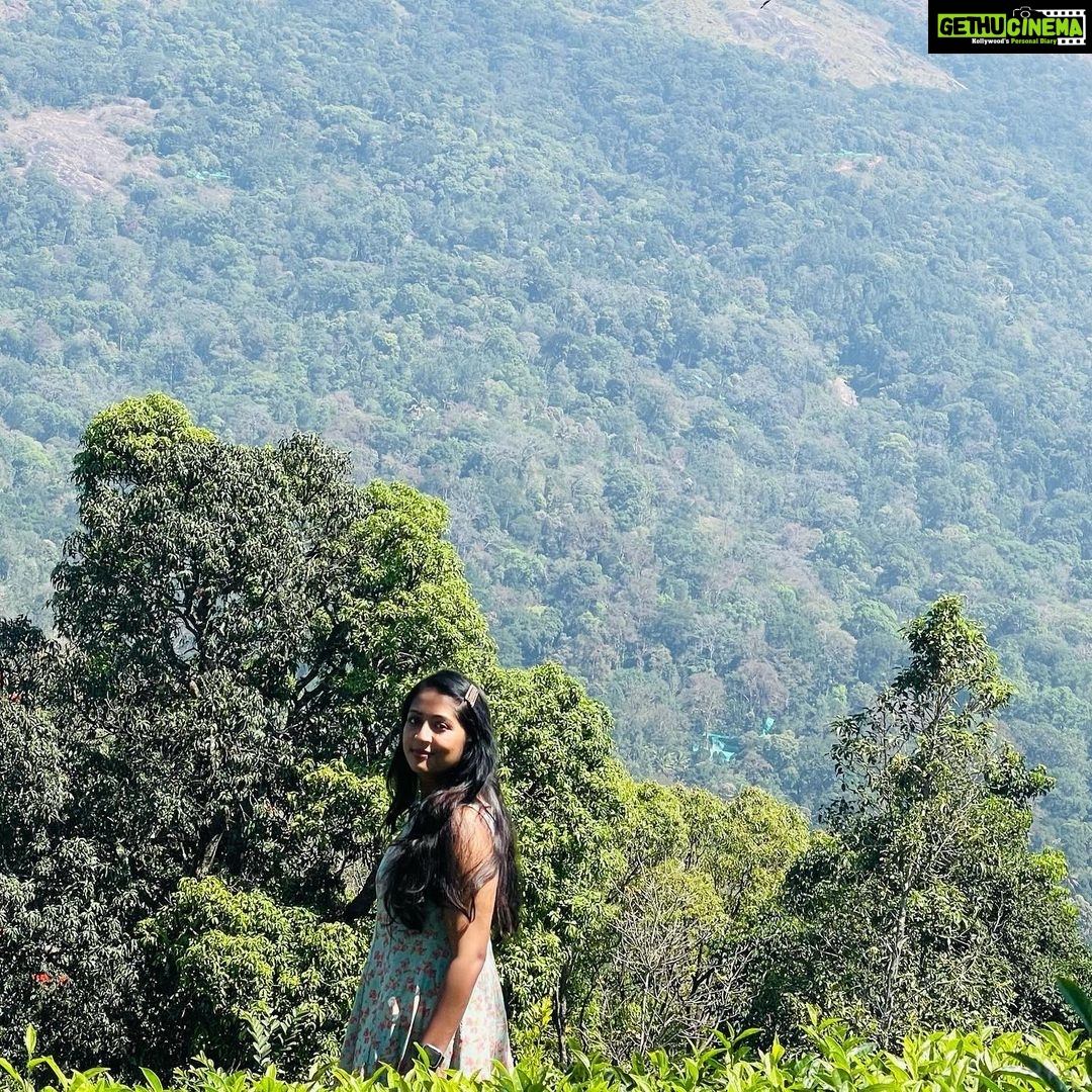 Navya Nair Instagram - You are a leaf scattered by an invisible wind .. Dont u know something is moving you ???@dcprm @spicecountryresortsmunnar Dream Catcher Resort