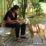 Navya Nair Instagram – Love for animals .. break time .. location ORUTHEE 🔥.. panampilly nagar clicks by @ajimuscat  @vkprakash61 @jimshi_khalid