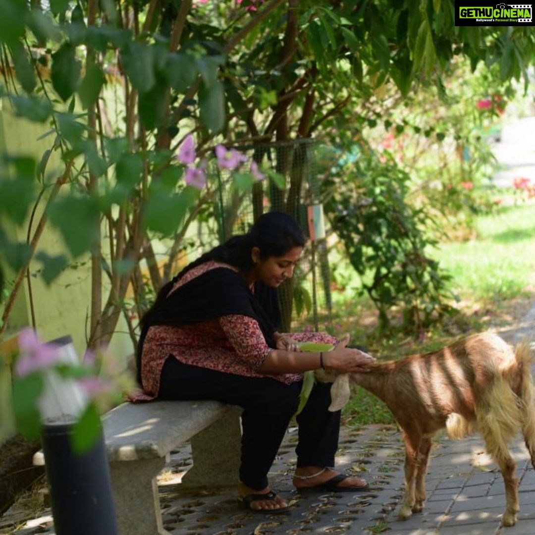 Navya Nair Instagram - Love for animals .. break time .. location ORUTHEE 🔥.. panampilly nagar clicks by @ajimuscat @vkprakash61 @jimshi_khalid