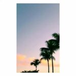 Nayanthara Instagram - Los Angeles you are beautiful 😍