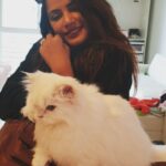 Neetu Chandra Instagram - The little #furry #marshmelow 😘❤ I love #animals #cats they are so honest towards their feelings😘 so honest and pure ❤🙏 @dashafromrussi Los Angeles, California