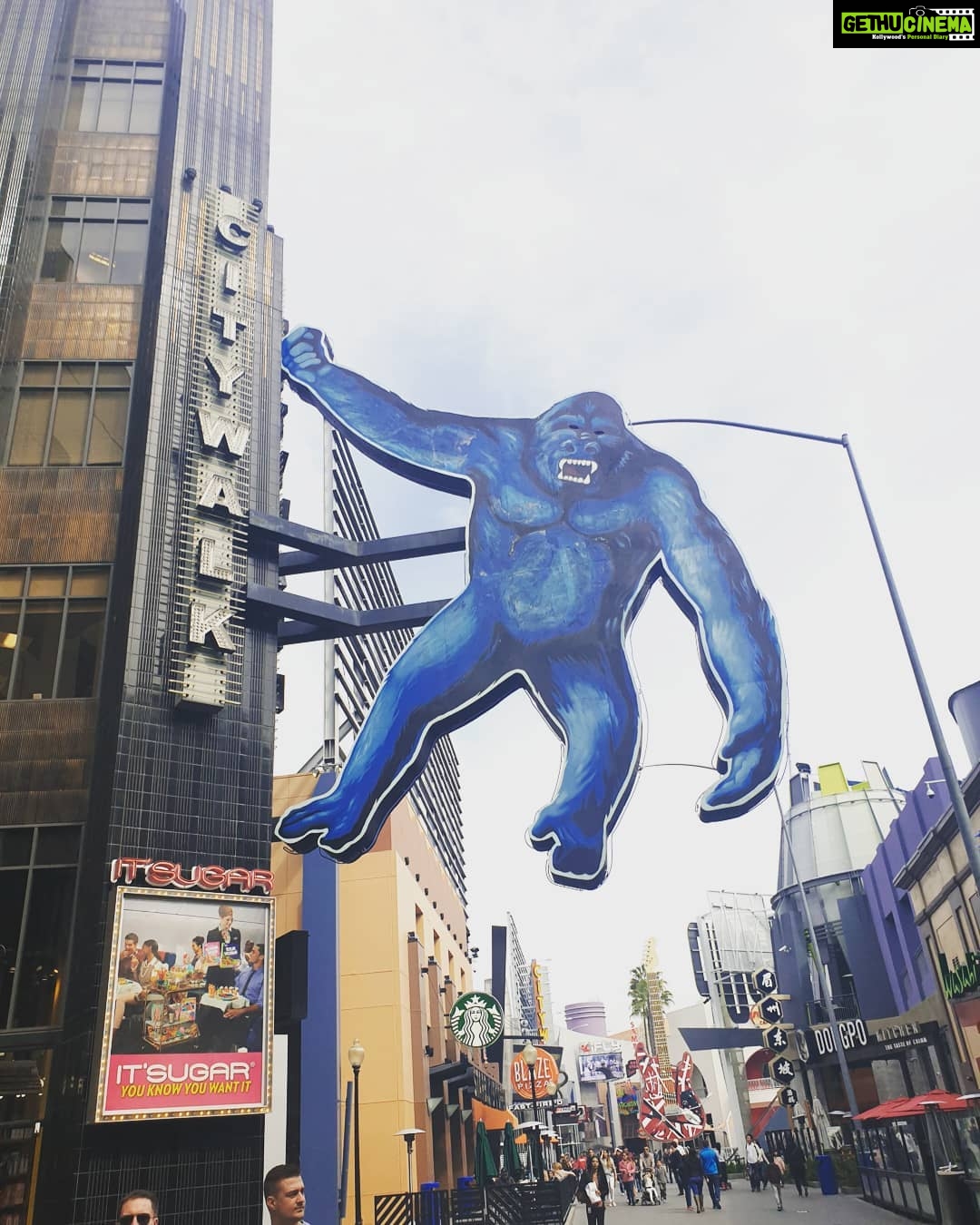 Neetu Chandra Instagram - Just hang in there honey ❤ it's tough but not impossible ❤😘 Nothing is ❤ Universal CityWalk Hollywood