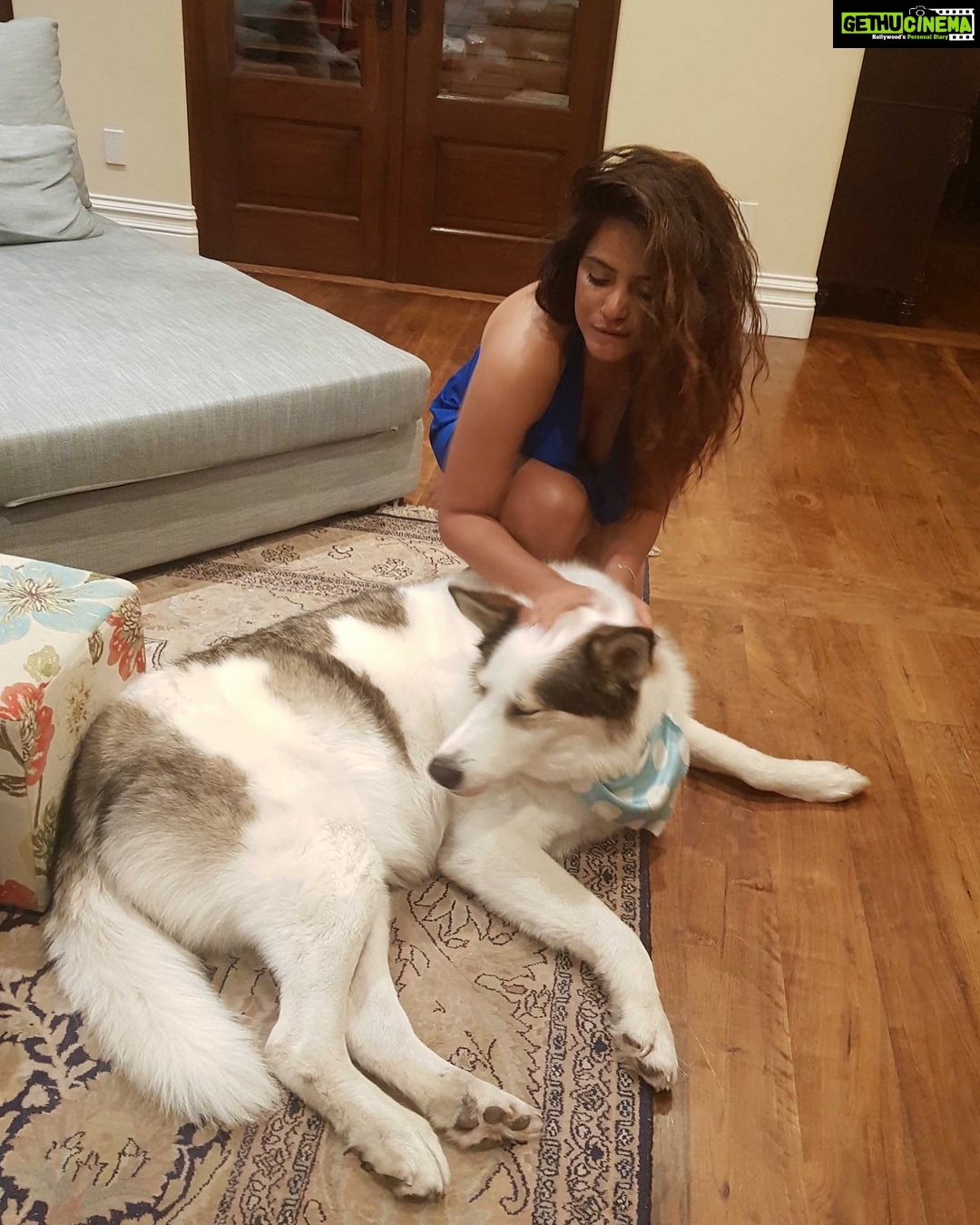 Neetu Chandra Instagram - When you love the kids , they love you back in abundance ! Presley is his name. Isn't he so adorable ? 😇😍❤ #Humatarian #lovely #Dog s lover and respect 🙏😘