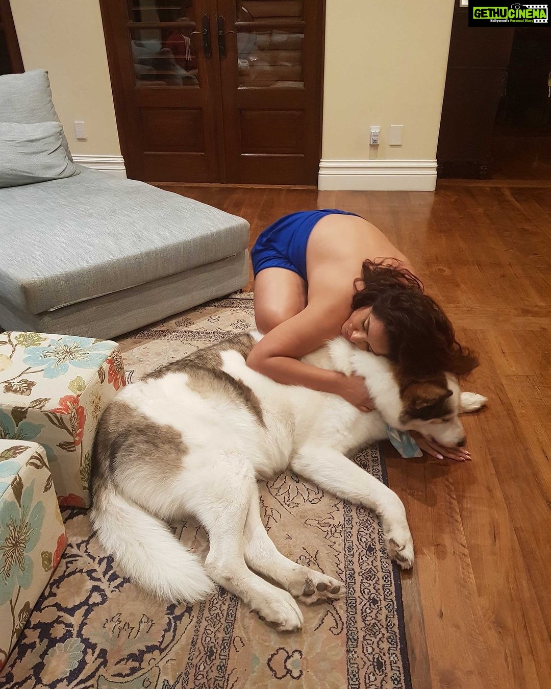 Neetu Chandra Instagram - When you love the kids , they love you back in abundance ! Presley is his name. Isn't he so adorable ? 😇😍❤ #Humatarian #lovely #Dog s lover and respect 🙏😘