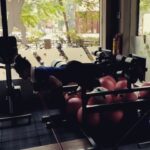 Neetu Chandra Instagram – Morning #workout #hardwork sets the whole day on fire !! Let’s do it. @alpha7seas @eatbacondrinkcoffeeliftheavy #gymnastics #gym 😘😘😘