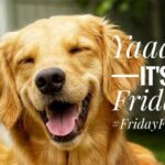 Neetu Chandra Instagram - That moment you realise that it's a Friday! #FridayFeeling