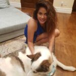 Neetu Chandra Instagram – The furry cuddles and wet kisses are enough to make my world go round! Man’s best friends for a reason 🐾💓
 
#InternationalDogDay #HappyCuddles #PetLove
