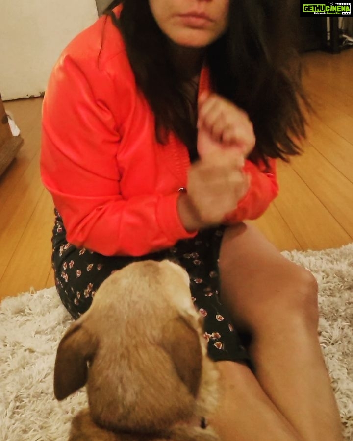Neetu Chandra Instagram - Check out our PENNI @pennivicious the owner of the @pett.clothing with her mom @directormadison COMING SOON ❤ #vicious #dogsofinstagram #dog #dogs #dogmom #dogsdoinghumanthings #dogsofinsta #dogslife #dogchuhuahua #pet #petlovers #petsagram #petclothing #petclothes #petclothesdesigner #pets ❤️❤️❤️ #pettclothing