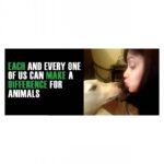 Neetu Chandra Instagram – Save Animals :)
#WorldAnimalsDay