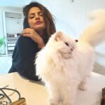 Neetu Chandra Instagram - My master, the royal highness! How I turn into a slave for her each day. ❤️😂 Happy International Cat Day! #persiancat #internationalcatday #happiness #cutie #catlove