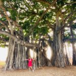 Neetu Chandra Instagram – Embracing nature’s warm hug ✨🌸

#TravelWithNeetu #Hawaii #honolulu #happyvibes #vacationmood