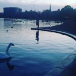Neetu Chandra Instagram - So peaceful walking at #hydepark #london today, in the evening❤ #focus #determination and #passion 🙏❤ Send it to me, talk to me❤ Hyde Park