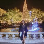 Neetu Chandra Instagram - Starry nights... gearing up for the upcoming festivities!💃🔥✨⭐ #christmas #la #xmasdecor #celebration #NCGirlSquad #Grateful
