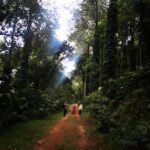 Niharika Konidela Instagram - Sneek peek! Oka Manasu❤️ #araku #beauty