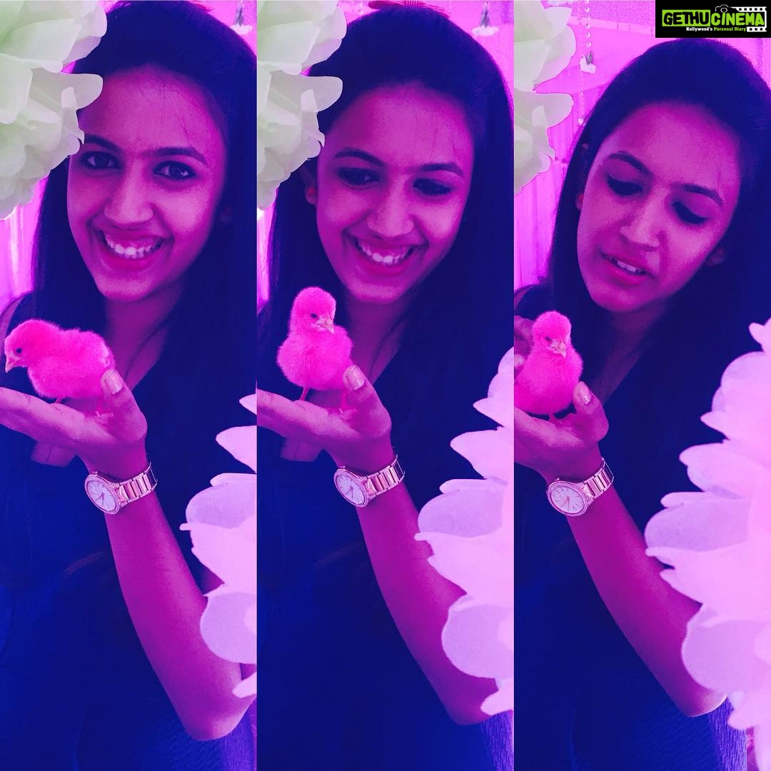 Niharika Konidela Instagram - That cute little thing! ❤️🐥🐥so tiny, so fragile. 😘