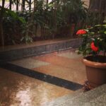 Niharika Konidela Instagram - The rain will either make you happy or really gloomy. #tch #home #rain #love #pouring