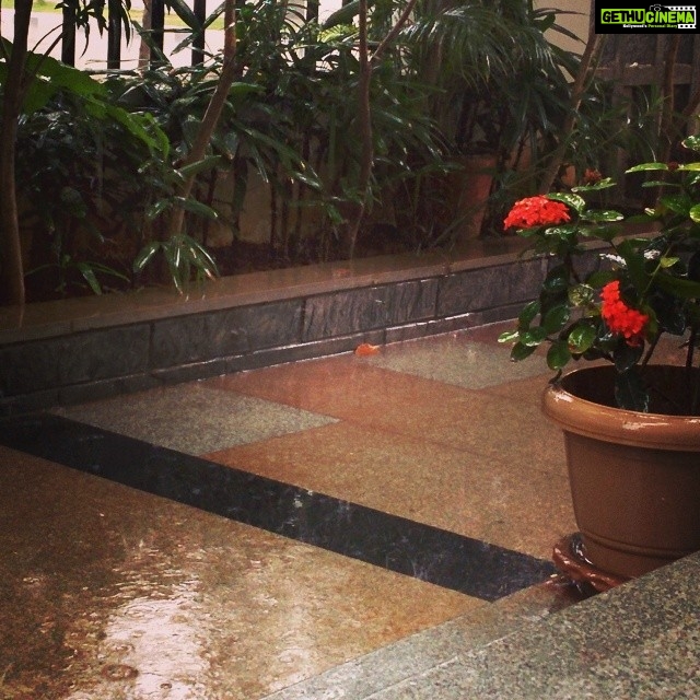 Niharika Konidela Instagram - The rain will either make you happy or really gloomy. #tch #home #rain #love #pouring