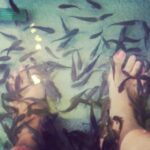 Niharika Konidela Instagram – #fishspa #cutielittlethings #loveit