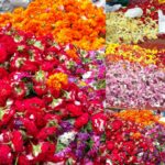 Nikhila Vimal Instagram - Uthradam #colours#flowers#dayb4onam😍😍