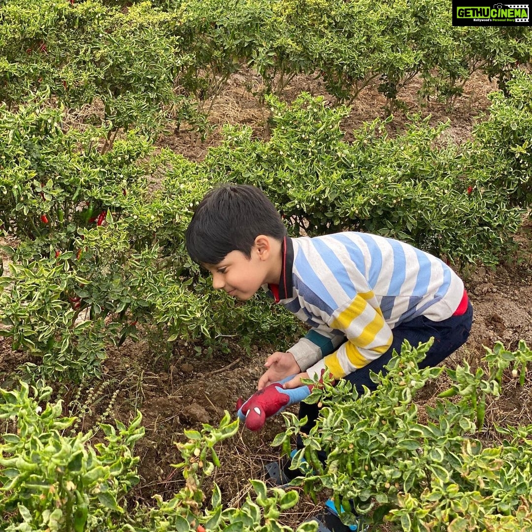 Paridhi Sharma Instagram - Magical nature!! Colourful nature!! Red chillies in green garden!! #embracenature #beapartofit #breathdeeply #feelit #walkonmud #touchthenature #naturelover #teachfuturegenerations #dancewithnature #paridhisharma