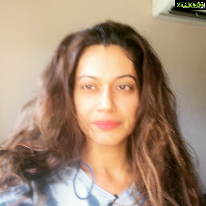 Payal Rohatgi Instagram - कुतिया और शेरनी दोनो जानवर ही हैं 😜 Trolls - Payal Rohatgi