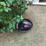 Payal Rohatgi Instagram - When the CHILDREN of Sundervan Epitome (members/committee members) had burnt the grass by mistake because THEY celebrated Christmas 🙄 Did anyone talk about RESOURCES then ? Plucking flowers for PUJA is a crime but burning grass for CHRISTMAS is sweet nothings 😂😂 Maybe u all are Crypto -Christians 🤪 A Certain Male Joker (sorry for the TITLE 😜 but TONE is humorous ) remember I have lot of EXTERNAL EVIDENCES recorded to prove my point. You can’t get away attacking me because you are PART of MAJORITY 😉 Also I came to your wedding celebrations FREE of cost as ours Mothers know each other 😜 But I remember you USED society RESOURCES for it 🤣 Who is handling the ACCOUNTS of Sundervan Epitome Coop Housing Cooperative Service Society ??? Is your FIRM doing it FREE of cost or you charging a FEE ????? Or is it a Government approved AUDITOR??? #JustAsking Remember I am used to handling herd of sheep very well. You should know at least this much about me by google search 😈 - Payal Rohatgi Boney Kapoor का एक statement सुना जहाँ पर वो कह रहे हैं SS Rajamouli की film और उनकी फ़िल्म Maidaan जिसमें Ajay Devgan है उसका release एक दिन होने से उनको लग रहा है कि यह एक unethical कार्य है। Boney Kapoor जी को सिर्फ़ इतना ही कहना है अगर आप unethical चीज़ों के ऊपर बातचीत करना चाहते हैं तो सबसे पहले आपको उन speculations को ख़त्म करना चाहिए जो आपकी स्वर्गीय धर्म पत्नी Sridevi की मौत के ऊपर ग़लत इल्ज़ाम डालते हैं क्योंकि लगता है जैसे आपको कुछ फरक नहीं पड़ता कि आपकी स्वर्गीय धरम पत्नी को drug addict का ख़िताब भी दिया जाता है। इन speculative theories के ऊपर अगर आप चुप है क्योंकि शायद आप भी यही चाहते हैं तो यह आपकी unethical व्यवहार दिखाता है। #sundervanepitome #byelaws