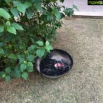 Payal Rohatgi Instagram - When the CHILDREN of Sundervan Epitome (members/committee members) had burnt the grass by mistake because THEY celebrated Christmas 🙄 Did anyone talk about RESOURCES then ? Plucking flowers for PUJA is a crime but burning grass for CHRISTMAS is sweet nothings 😂😂 Maybe u all are Crypto -Christians 🤪 A Certain Male Joker (sorry for the TITLE 😜 but TONE is humorous ) remember I have lot of EXTERNAL EVIDENCES recorded to prove my point. You can’t get away attacking me because you are PART of MAJORITY 😉 Also I came to your wedding celebrations FREE of cost as ours Mothers know each other 😜 But I remember you USED society RESOURCES for it 🤣 Who is handling the ACCOUNTS of Sundervan Epitome Coop Housing Cooperative Service Society ??? Is your FIRM doing it FREE of cost or you charging a FEE ????? Or is it a Government approved AUDITOR??? #JustAsking Remember I am used to handling herd of sheep very well. You should know at least this much about me by google search 😈 - Payal Rohatgi Boney Kapoor का एक statement सुना जहाँ पर वो कह रहे हैं SS Rajamouli की film और उनकी फ़िल्म Maidaan जिसमें Ajay Devgan है उसका release एक दिन होने से उनको लग रहा है कि यह एक unethical कार्य है। Boney Kapoor जी को सिर्फ़ इतना ही कहना है अगर आप unethical चीज़ों के ऊपर बातचीत करना चाहते हैं तो सबसे पहले आपको उन speculations को ख़त्म करना चाहिए जो आपकी स्वर्गीय धर्म पत्नी Sridevi की मौत के ऊपर ग़लत इल्ज़ाम डालते हैं क्योंकि लगता है जैसे आपको कुछ फरक नहीं पड़ता कि आपकी स्वर्गीय धरम पत्नी को drug addict का ख़िताब भी दिया जाता है। इन speculative theories के ऊपर अगर आप चुप है क्योंकि शायद आप भी यही चाहते हैं तो यह आपकी unethical व्यवहार दिखाता है। #sundervanepitome #byelaws