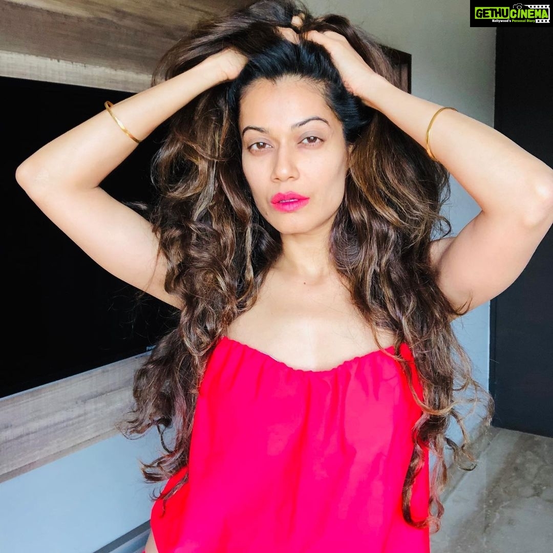Payal Rohatgi Instagram - ख़बर आयी है कि कैसे UK के broadcasting regulator ने Arnab Goswami जो Republic TV ke Owner है उनके Hindi channel Republic Bharath पर 20 लाख रुपये का जुर्माना लगाया है ये कह कर कि उनका channel पाकिस्तानियों के ओर नफ़रत फैलाता है। ये आरोप उस डिबेट के आधार पर जारी किया गया है जिस डिबेट में Goswami #Chandrayaan2 के launch के ऊपर बातचीत कर रहे थे अपने guests ke साथ। वो कह रहे थे कि कैसे Bharath वैज्ञानिक पैदा करता है और Pakistan आतंकवादी क्योंकि उसी समय Article 370 kashmir से निकाला गया था लोकतंत्र तरीक़े से और ये देख Pakistan ke प्रधानमंत्री की बहुत जली हुई थी और वो ख़ुद इतनी ज़्यादा नफ़रत फैलाने wali स्पीच दे रहा था मगर उनकी स्पीचेस UK ke रेगुलेटरी broadcasting को नफ़रत फैलाने wali स्पीच नहीं लगी होगी 😂😂 Arnab का डिबेट में discussion करना facts के आधार पर उन्हें ग़लत लगा हम अगर pakistan ke प्रधानमंत्री का आज की तारीख़ में भी POK ग़ैर क़ानूनी तौर से ज़ब्त करना सही लगता होगा ये समझ कर इतना ही कहना है कि Arnab आपको हमारा समर्थन है क्योंकि अब आपके नाम से UK में भी log publicity खाना चाहते हैं और हम दिल से ख़्वाहिश रखते हैं के UK पाकिस्तानी लोगों से ओर भर जाए और UK jo आज की तारीख़ में पाकिस्तानियों ke समर्थन में bharatiya Goswami पर निशाना कर रहा है वो कुछ ही सालों में Pakistan बन जाए।#payalrohatgi