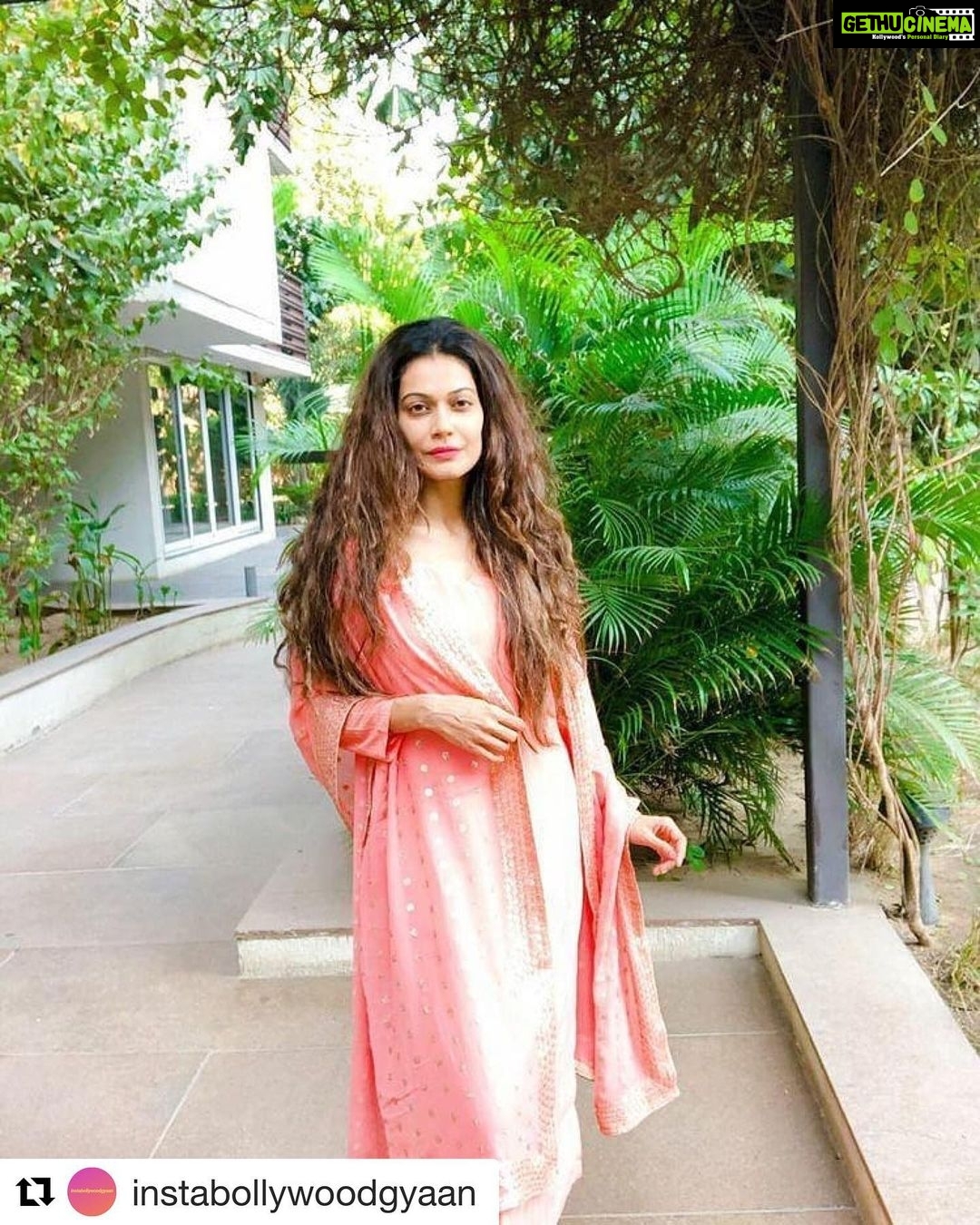 Payal Rohatgi Instagram - मैंने अपने आदरणीय प्रधानमंत्री Shri Narendra Modi जी का statement public platform पर देखा जहाँ पर वो कह रहे थे की 6 महीने पहले Agri Reforms लागू हो गए थे और 6 महीने से कोई भी मंडी बंद नहीं हुई इसके इलावा APMC को कंप्यूटराइज्ड करने ke लिए उनकी सरकार 500 करोड़ रुपये ख़र्च कर रही है तो फिर APMC बंद होने वाली है ऐसी अफ़वाह कौन फैला रहा है ??? एक भारतीय नागरिक होने के नाते जो थोड़ा बहुत पढ़ालिखा है क्या अब ये सुनकर मैं अपने आदरणीय प्रधानमंत्री जी के ऊपर vishwas करूँगी के kisaan union ke ऊपर vishwas करूँगी ??? jo जानबूझ ke kisaan ke नक़ाब ke पीछे वो अजेंडा फैलाना चाहते हैं jo अजेंडा Bharath को तोड़ने की सोच रखता है। ऐसे union वालों को मेरा इतना ही कहना है मैं jaan बूझकर देशद्रोहियों को publicity नहीं dena चाहती 🙏 #Jaihind #Repost @instabollywoodgyaan with @get_repost ・・・ @payalrohatgi shells out major desi vibes in a pink suit #payelrahotagi #desi #vibes #desivibes #traditional #traditionalsuit #bollywood #bollywoodactor #bollywoodactress #bollywoodceleb #bollywoodcelebrity #bollywoodnews #bollywoodmovie #instabollywoodgyan