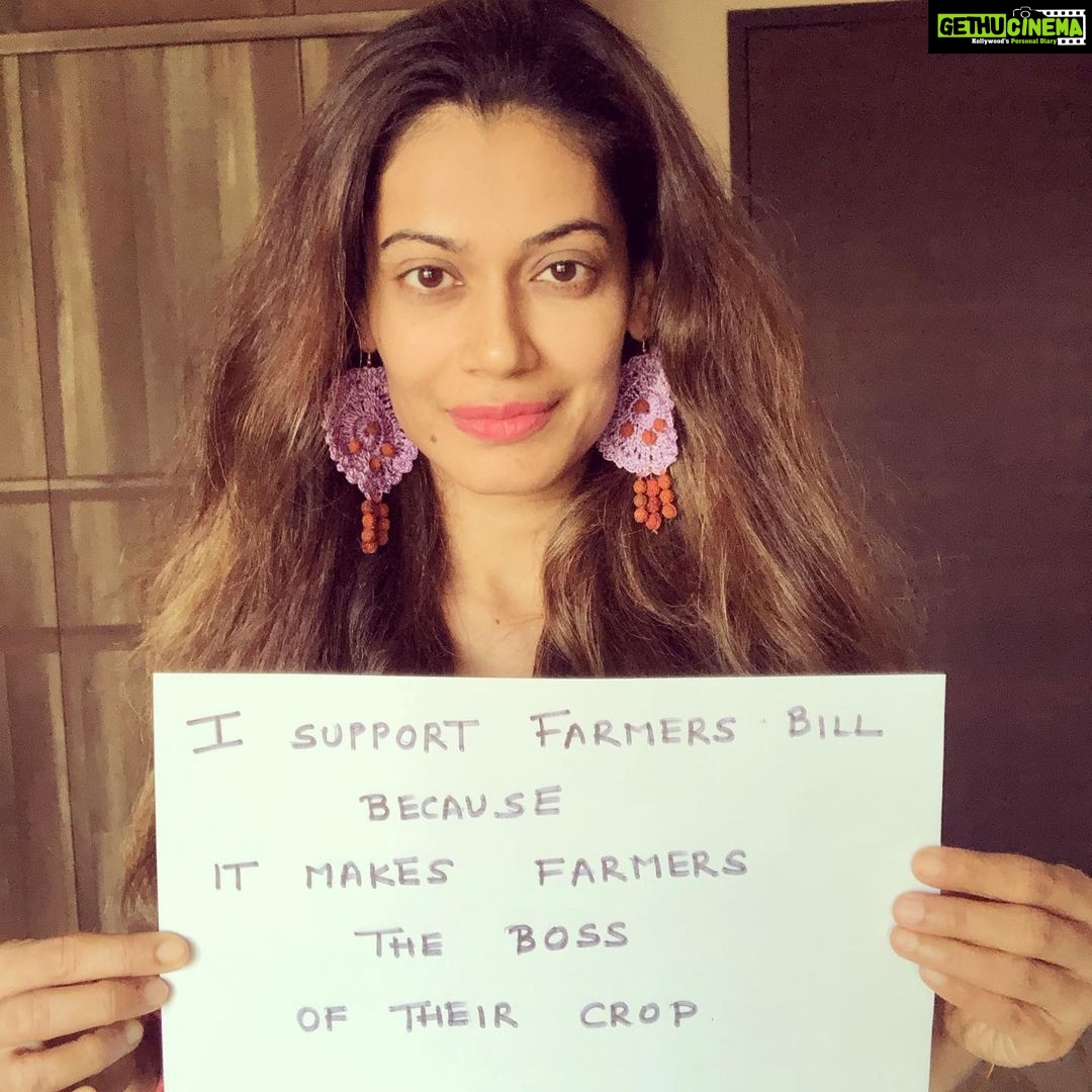 Payal Rohatgi Instagram - बॉलीवुड के लोग अब जुड़ गए हैं Farmers protest में ये सोच के साथ के Farmers की हर बात को माना जाए मगर bollywood वाले जो मुझे लगता है बिलकुल पढ़े लिखे नहीं है उन्होंने bill को समझाने का प्रयास नहीं कियाबिचारे किसान को??? यह bill उनके हित में है क्योंकि बॉलीवुड ख़ुद ये bill के बारे में नहीं पता 🤣🤣 Farmers को ब्रेनवाश किया जा रहा है और उनको इस तादात में ब्रेनवाश किया गया बताता है middle man and राजनीतिक parties का षडियंतर। जैसे CAA bill में भारतीय मुसलमानों को ब्रेनवाश किया गया कि ये bill उनकी नागरिकता छीनेगा और मासूम बच्चों का प्रयोग किया gaya ये ajenda फैलाने ke लिए वैसे बुज़ुर्गों किसानों का प्रयोग किया जा रहा है ये Farmers bill ke ख़िलाफ़ protest करवाके। ये bill में ३ क़ानून पास हुए हैं जहाँ Farmers Produced Trade and Commerce promotion पहला क़ानून है। जहाँ par APMC का control कम हो जाता है kisaan के फसल के भाव के ऊपर।किसान अपनी फसल भारत के किसी भी buyer को बेच सकता है और अगर ये buyer कोई corporate house है तो इससे liberals को problem है क्योंकि वो Adani और Ambani का angle यहाँ par ला रहे हैं 🤪 तो उनको इतना कहना है कि किसानों की मर्ज़ी है कि वो अपनी फसल Adani/Ambani या कोई individual MadanLal buyer को बेचे क्योंकि वो अपनी फसल का Boss है अब। दूसरा क़ानून है Farmer’s Agreement on Price Assurance & Farm Service Ordinance 2020 जहाँ पर किसान खेती करने से पहले अपनी फसल का जो भाव तेय करता है वो अगर उसे नहीं मिलता है तो उस buyer के ख़िलाफ़ complaint कर सकता है। साथ साथ में अब farmer अपने ghar में अपनी हैसियत अनुसार गेंहू,फसल को store कर सकता है और उसके रिश्तेदार ये फसल को शहर में ले जा सकते हैं निजी इस्तेमाल ke लिए।क्योंकि पहले अगर वो ये करता था तो उसे गिरफ़्तार भी kiya जा सकता था Grain Smuggling क़ानून ke तहत jo अब लागू नहीं होगा। और तीसरा क़ानून Essential Commodities Act को बदलता है जहाँ par सरकार, गेहूं और चावल ke इलावा किसी भी क्रॉप को essential commodity में डाल कर उसका भाव गिरा सकती थी अपने अनुसार।किसान को नुक़सान पहुंचाकर वो अब ऐसा नहीं कर सकती। ये सारे क़ानून किसानों को अपनी फसल का RAJA बनाते हैं और jo भी मनुष्य इन क़ानून ke ख़िलाफ़ protest कर रहा है वो actually किसान ke ख़िलाफ़ है। #payalrohatgi #isupportfarmersbill