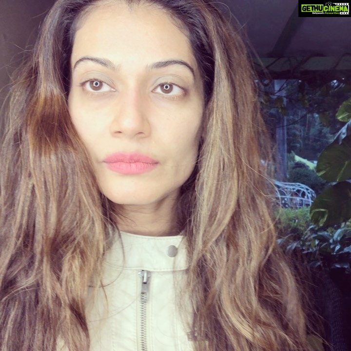 Payal Rohatgi Instagram - #HappyDiwali 🙏 #payalrohatgi Hotel Hillock...!! @ Mount Abu....