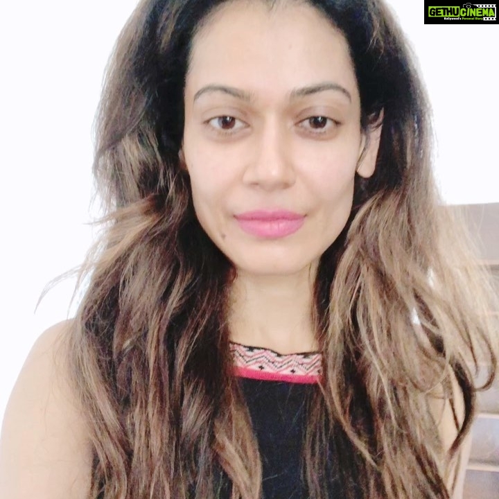 Payal Rohatgi Instagram - राम राम जी 🙏 एक कहानी है जो सब को सुनानी है, जलने वालों की रूह भी जलानी है, एक कहानी है जो सबको सुनानी है, इनकी भूक भी तो मेंने ही बुझानी है 😂 #carryminativideoback #PayalRohatgi