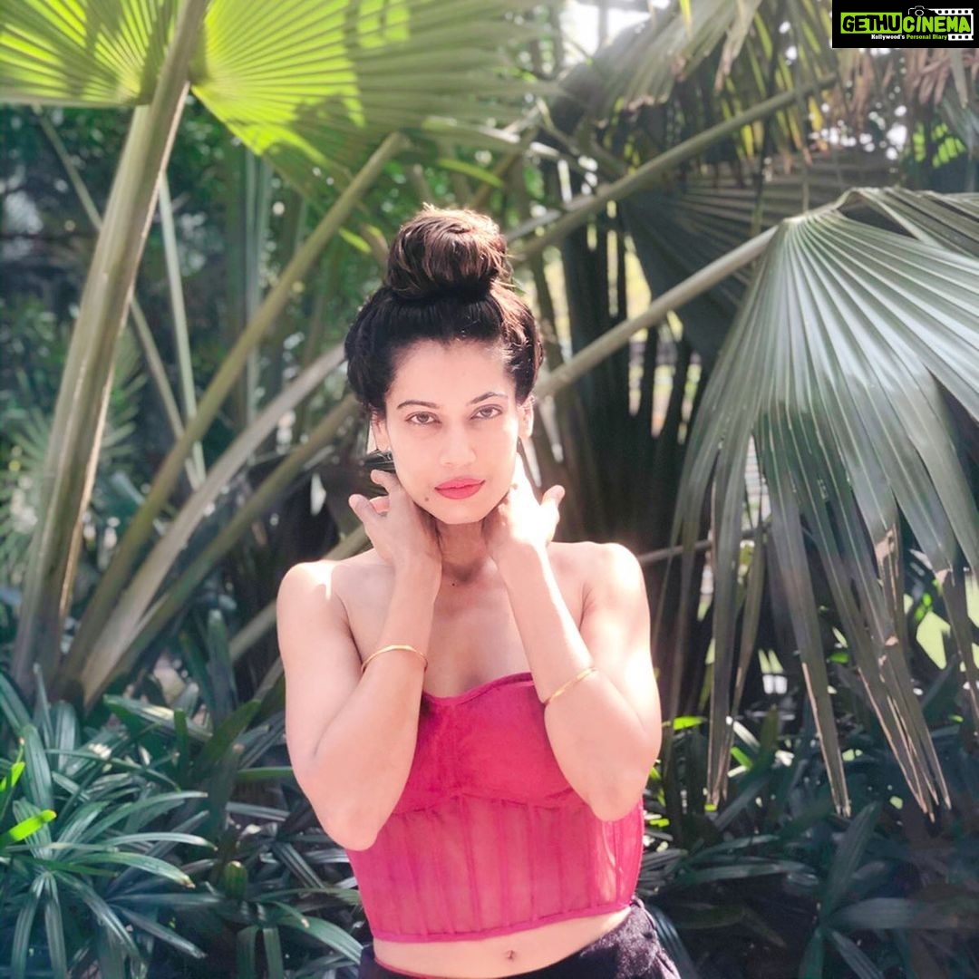 Payal Rohatgi Instagram - #AAP party की जीत दर्शाता है कि हिन्दु को सिर्फ़ free चीजें चाहिए क्यूँकि जो ६० प्रतिशत लोगों ने vote किया उन्होंने Free चीजें वालों को vote दिया।यह हिन्दु को कुछ लेना देना नहीं Article 370 निकलने की वजह से अब कश्मीरी हिंदुओं को फिर से कश्मीर में बसाया जाएगा, CAA क़ानून द्वारा पाकिस्तानी, बंगला और Afghanistan के हिंदुओं को भारतीय नागरिकता मिलेगी आसानी से। यह हिंदुओं को तो सिर्फ़ अपना घर चलाना है। Manish Sisodia जो #Aap के हिन्दु नेता है उनकी जीत की margin ३००० वोट की थी जो शिक्षा देने की वजह से जीते हैं ऐसा कह रहे थे। Amantullah Khan ७०००० की margin से जीते जो दिखाता है कि Islam की वजह से Arvind Kejriwal जीता है 🙏 मुस्लिम सारे vote करणे जाते हैं और इसलिए भारत में राजनीति करणे वाले भारत के मुसलिम vote bank के पीछे भागते हैं ना कि हिंदुओं के पीछे क्यूँकि हिन्दु सो रहा है। उसे जगाना नामुमकिन हो गया है क्यूँकि उसे फ़रक ही नहीं पड़ता कि भारत Islamic देश बने या नहीं। Islamic देश बनेगा भारत तो क्या बड़ी बात है ? भारत की feminists burqa में घुमेंगी और यहाँ पर भी Sharia क़ानून लागू हो जाएगा। Afghanistan भी कभी हिन्दु बहुसांख्य देश था और Indonesia भी। आज वो मुसलिम देश हैं और भारत जो आज हिन्दु बहुसांख्य देश है २० साल बाद Islamic देश बन जाएगा 🙏 #payalrohatgi