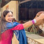 Payal Rohatgi Instagram - आज हरे कृष्ण मंदिर अहमदाबाद मे श्री श्री राधा माधव का आशीर्वाद लिया। साथ ही गौ माता की सेवा करके वहाँ के वरिष्ट संतों के साथ श्रीमद्भगवद गीता पर चर्चा की। #payalrohatgi #sangramsinghwrestler Sri Radha Madhav Mandir Bhadaj