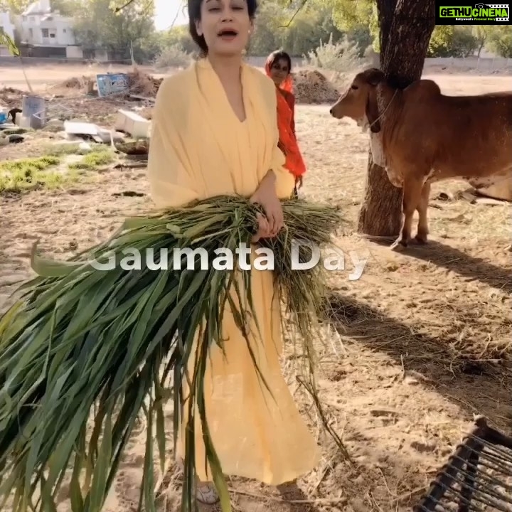 Payal Rohatgi Instagram - भगवान सब जगह नहीं आ सकता इसलिए उसने माँ को बनाया 🙏 #MothersDay यह दिन को आप सब आज मना रहे हो पूरे देश में मगर शायद आपको यह भी नहीं पता कि यह भारतीय संस्कृति नहीं है। यह west की प्रथा है जिसे हम भारतीय को इतने सालों से #brainwash करके कहा गया है कि अगर आप यह दिन को नहीं मनाते तो शायद आप अपनी माँ से प्यार नहीं करते 🤨। आप ज़रूर मनाइए यह दिन परंतु जानिए कि भारत की संस्कृति में हर दिन #माँ के आचरण में मनाया जाता है क्यूँकि भारतीय संस्कृति में भगवान सब जगह नहीं पहुँच सकता इसलिए उसने माँ बनाई। यह दिन को भारत कि media इतने सालों से promote करती आयी है क्यूँकि उनको west से funding मिलती है और corporate houses चाहते हैं कि यह दिन के बहाने उनकी बिक्री ज़्यादा हो क्यूँकि सबको अपना धंधा चलाने से मतलब है। जब आप कोई भी त्योहार की सच्चाई जानकार उसे मानाते है तो अच्छा होता है। भारतीय लोगों को पहले मुग़लों ने rule किया फिर अंगरेजो ने और आज भी उन्हें अपने वजूद पे भरोसा नहीं है इसलिए #andhbhakt की तरह west की संस्कृति को मनाते हैं। और जैसे आप अपनी माँ से प्यार करते हैं वैसे अपने देश से प्यार करो क्यूँकि आपका देश आपकी पहचान हैं।भारतीय होना गर्व कि बात और गर्व से अपने देश और अपनी माँ से रोज़ प्यार करो🙏 #payalrohatgi