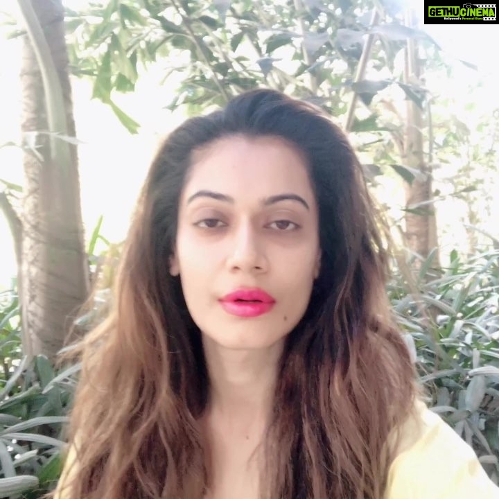 Payal Rohatgi Instagram - हिंदी चीनी भाई भाई - बकवास है 🙏 चीन ने #MasoodAzhar जी को global terrorist घोषित करने से UN में माना कर दिया। यह उन्होंने चौथी बार किया है।वो पूरे विश्व के देशो के सामने कहते हैं की वो pakistan की बात पर विश्वास कर रहे हैं जब वो कहता की वो आतंकवादी को शरण नहीं देते 🤨 जब हम सब को पता है की #OsamaBinLaden को US ने Abbottabad में मार डाला था। सब से आसचरयजनक बात यह हे की अपने देश में वो Uighur करके ethnic मुस्लिम जाती को camps में रखते हैं और torture करते है। वो Islam को एक मानसिक रोग समजते हैं। एक योगी #DylanWerber जो हाल मैं ही चीन गए थे योगा सिखाने उनहोने कहा कैसे कि चीन में Freedom to Information नहीं है। वहाँ पर Instagram, Twitter, Youtube, Facebook, Gmail, Google जैसी websites ban है। भारत की नक़ली media अगर modi सरकार को fascist बोलती है तो उन्हें fascist का मतलब नहीं मालूम। उन्हें चीन भेजो #RahulGandhi के साथ🙏। हमारे देश मैं fake मीडिया इतनी है की भारतीय समज ही नहीं पाते की सही तोर से कौन उनका हितेशि है और कौन नहीं। #payalrohatgi