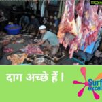 Payal Rohatgi Instagram - To #hindustanlever oops British company #Unilever, beta #Masjid is not required to offer Namaz as per Quran so this Holi read Namaz at home. No need to step out. Regarding #lovejihad propoganda, we also dont believe in it so pls start making reverse advertisement now. Lets see their tolerance when a burqa clad girl plays holi 😆 Pls let us invite all #burqaclad muslim ladies for #holi, the Hindu festival as we are in secular country called India 😉 not some Islamic country Iran where women cant roam without uncovering their head 😙#BoycottSurfExcel Daag acche hain 😉 #HappyHoli 😻😻😻 Lets spread love not hate 😚😚😚😚😚😚
