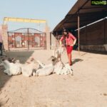 Payal Rohatgi Instagram - As ALL views are taken into consideration based on the success/failure graph 🤨 of the humanbeing we are putting across our logic. #karma is #karma. It won’t spare a #hindu or a #muslim. Respect the #faith of ALL religions 🙏 #cowslaughter is NOT banned in #kerala. Dear Kerala people and politicians of Kerala, not good to hurt the sentiments of #Hindus. If u openly do that, sorry to sound but God also openly does it.. God is one ☝️ Then why #convert in the name of Hindu and Muslim and Christian 🤔 Can science give birth to a life and prevent the death of Man 🤨 ? NO. So is God there ? If YES, is it ONE ? Then why #convert ? So stop hurting the religious faith of the religion that u don’t follow is our request 🙏 #payalrohatgi #paayalrohatgi #jaishreeram