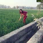 Payal Rohatgi Instagram - As ALL views are taken into consideration based on the success/failure graph 🤨 of the humanbeing we are putting across our logic. #karma is #karma. It won’t spare a #hindu or a #muslim. Respect the #faith of ALL religions 🙏 #cowslaughter is NOT banned in #kerala. Dear Kerala people and politicians of Kerala, not good to hurt the sentiments of #Hindus. If u openly do that, sorry to sound but God also openly does it.. God is one ☝️ Then why #convert in the name of Hindu and Muslim and Christian 🤔 Can science give birth to a life and prevent the death of Man 🤨 ? NO. So is God there ? If YES, is it ONE ? Then why #convert ? So stop hurting the religious faith of the religion that u don’t follow is our request 🙏 #payalrohatgi #paayalrohatgi #jaishreeram