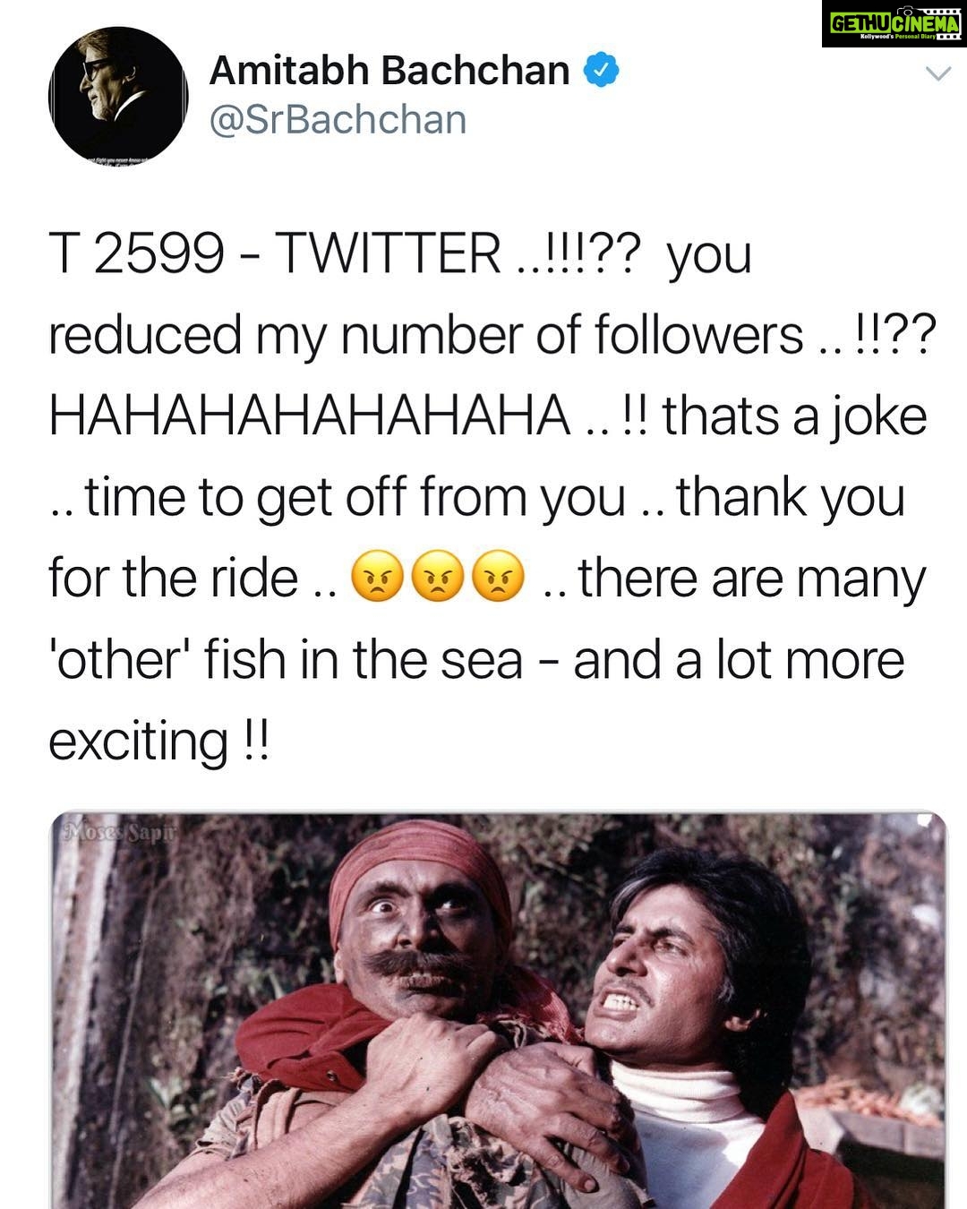 Payal Rohatgi Instagram - Self explanatory 🤪🤪🤪 @amitabhbachchan Sir ki account ki REACH Kam ho gayi 🤔 So #followers are REAL #fans 😜🤣🤣 Everything is #fake except @google