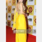 Payal Rohatgi Instagram - I respect a person, who respects me even when I am not there.... #paayalrohatgi at various #redcarpets of #IndianAwards over the last few years. Nevertheless she looks better with time #majorthrowback #actresslife #actress #appearance #instagramhub #photos #flashback #artist #bollywood #hollywood #pic #celebrityfashion #celebritystyle #styleblogger #indiansports #payalrohatgi 😘😍 Bollywood Film Industry