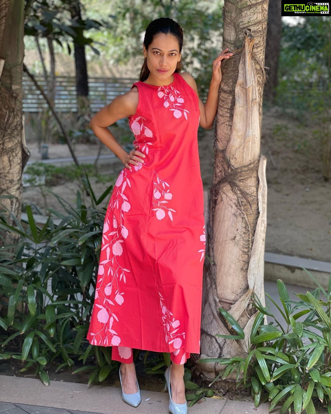 Payal Rohatgi Instagram - The taste becomes more better when it is hunt by yourself 🥰 #payalrohatgi #vocalforlocal