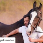 Payal Rohatgi Instagram - Horse’s mouth says : That the ruling political party of this country with most influence on social media has to be more powerful that Indian superstar Salman Khan’s PR company. So Salman Khan didn’t get my twitter account suspended #PayalRohatgi. Posted @withregram • @beingsalmankhan Horse’s mouth ..