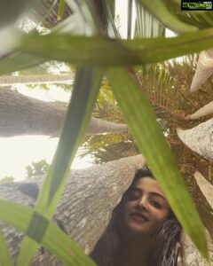 Poonam Kaur Instagram - Believe in the magic of #woods