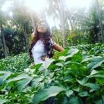 Poonam Kaur Instagram - Kanda तो टा। #gogreen💚